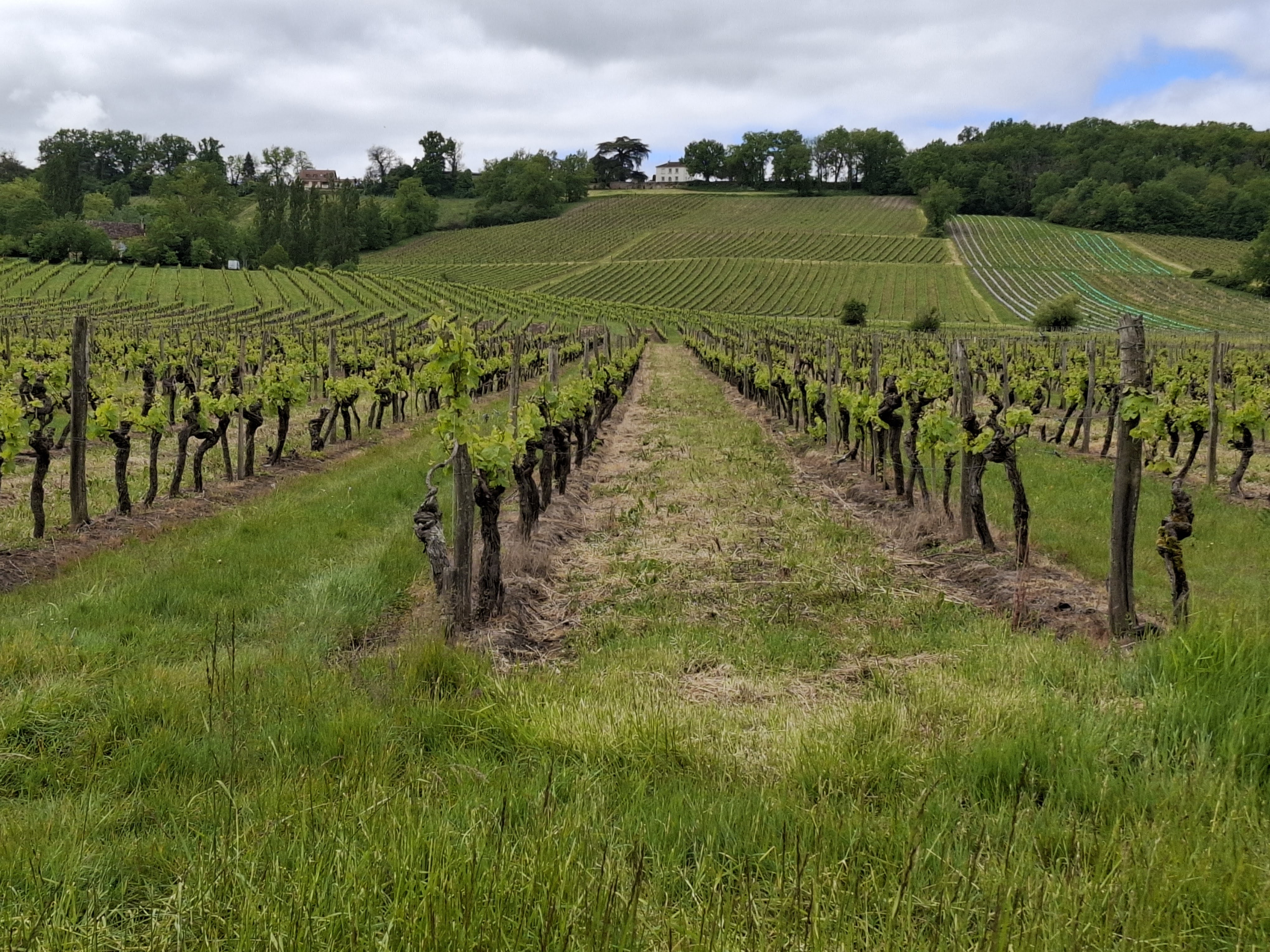 Vindistriktet Bergerac